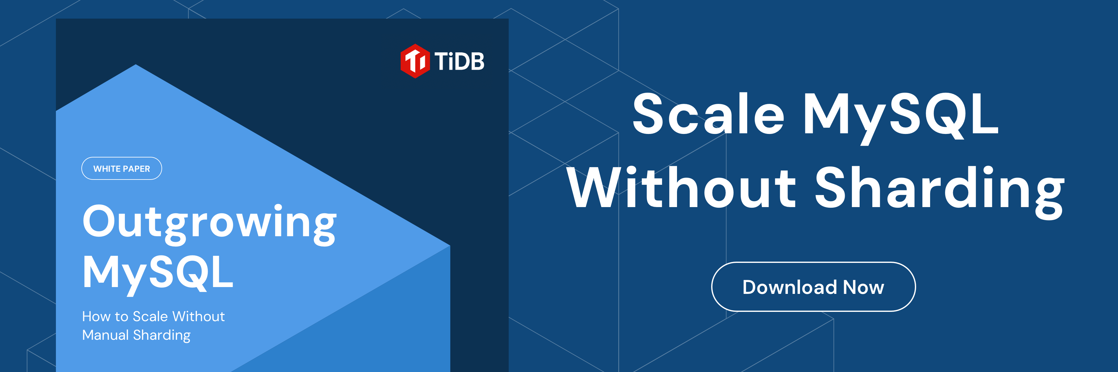 tidb_feature_1800x600