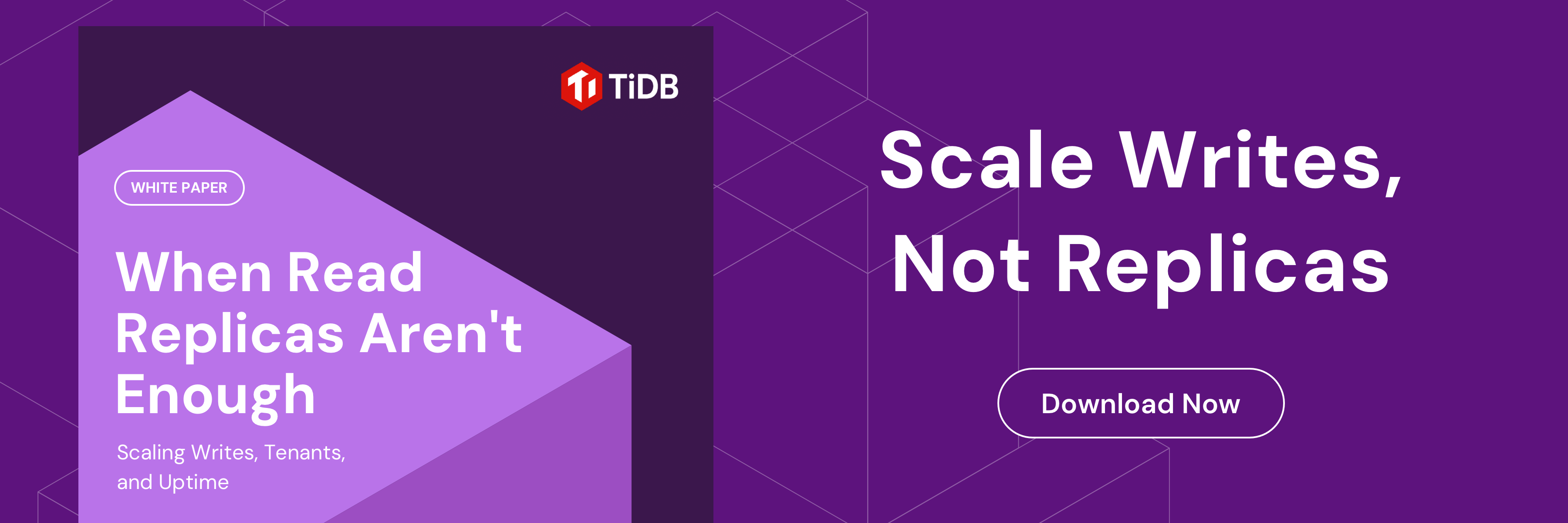 tidb_feature_1800x600