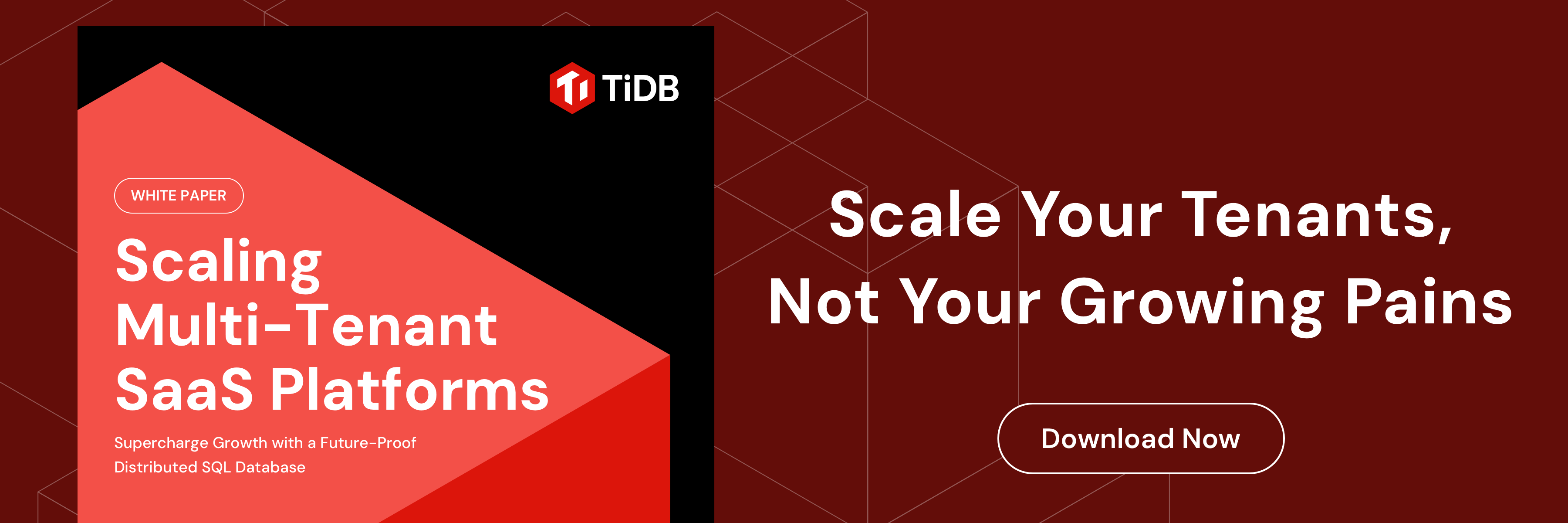 tidb_feature_1800x600 (1)