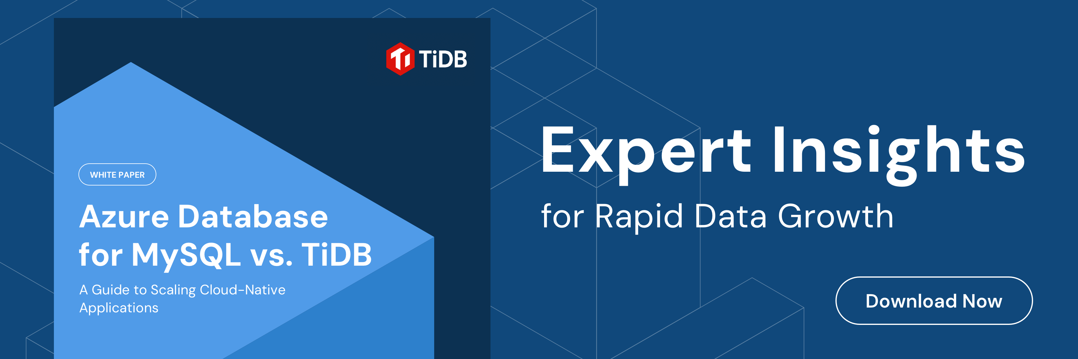 tidb_feature_1800x600 (1)