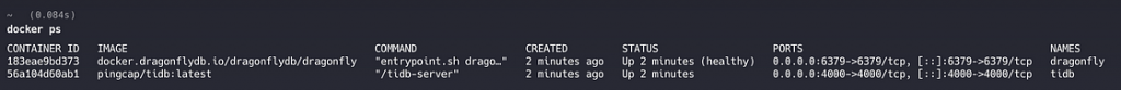 Both TiDB and Dragonfly are running inside Docker — TiDB on port 4000, Dragonfly on port 6379.