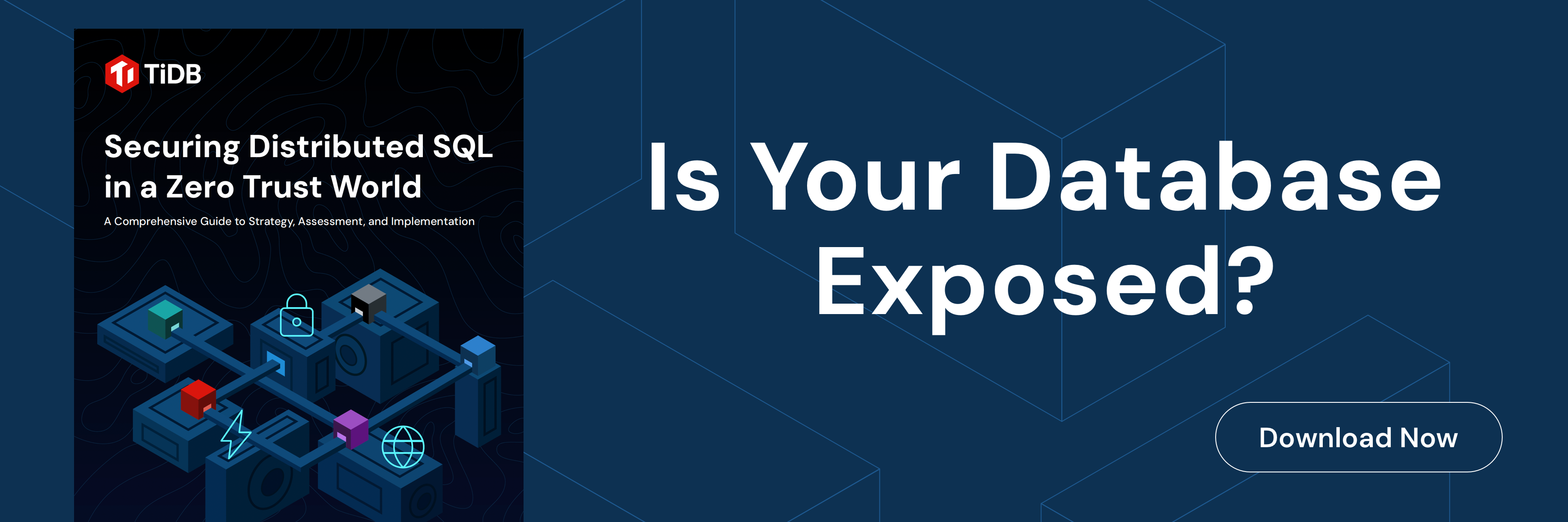 tidb_feature_1800x600 (1)