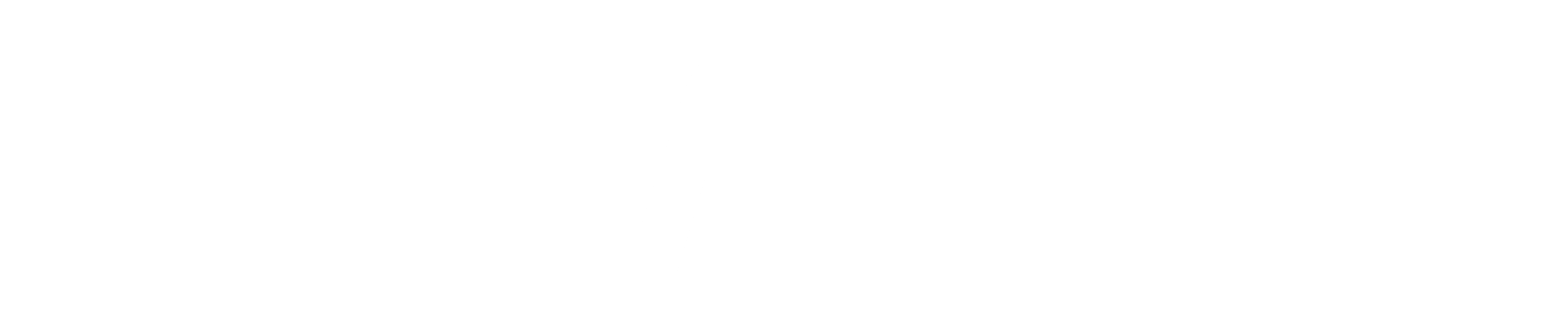 Plaud logo white