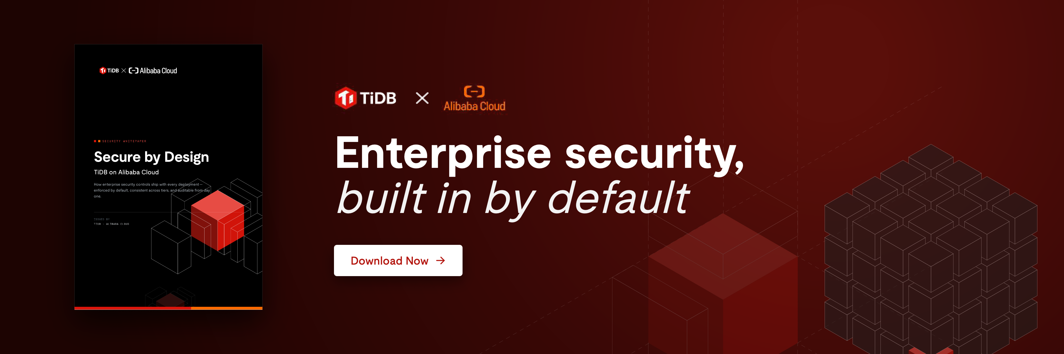 TiDB Ebook Landing Banner 3600x1200-5